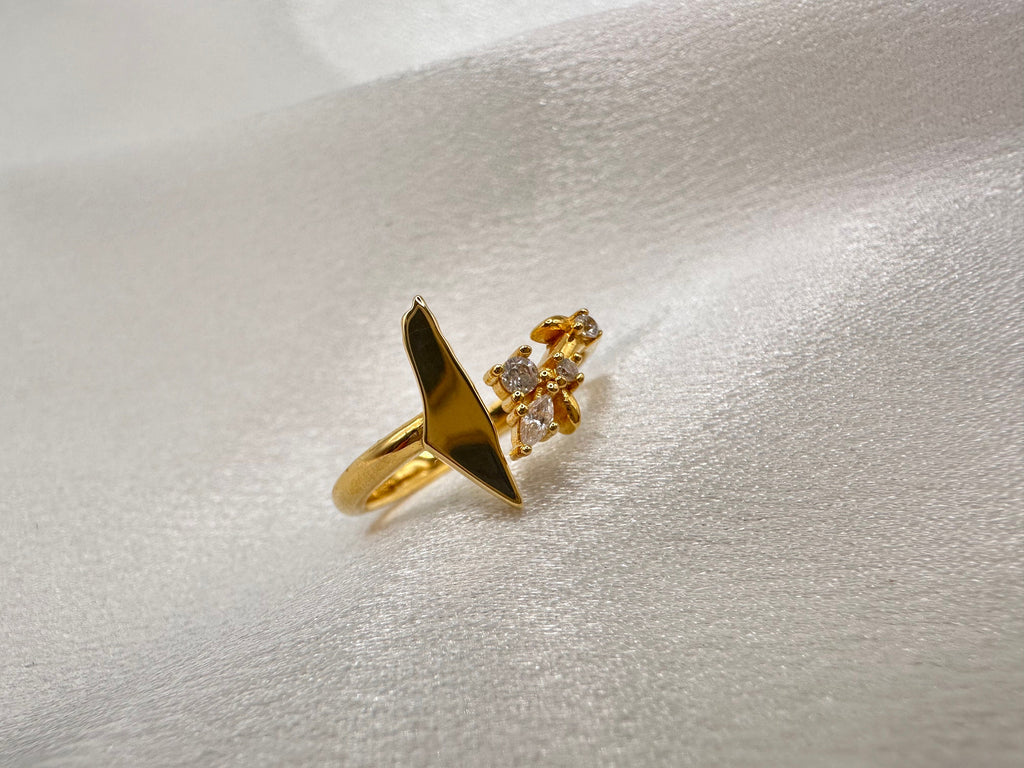 Map of Palestine Ring