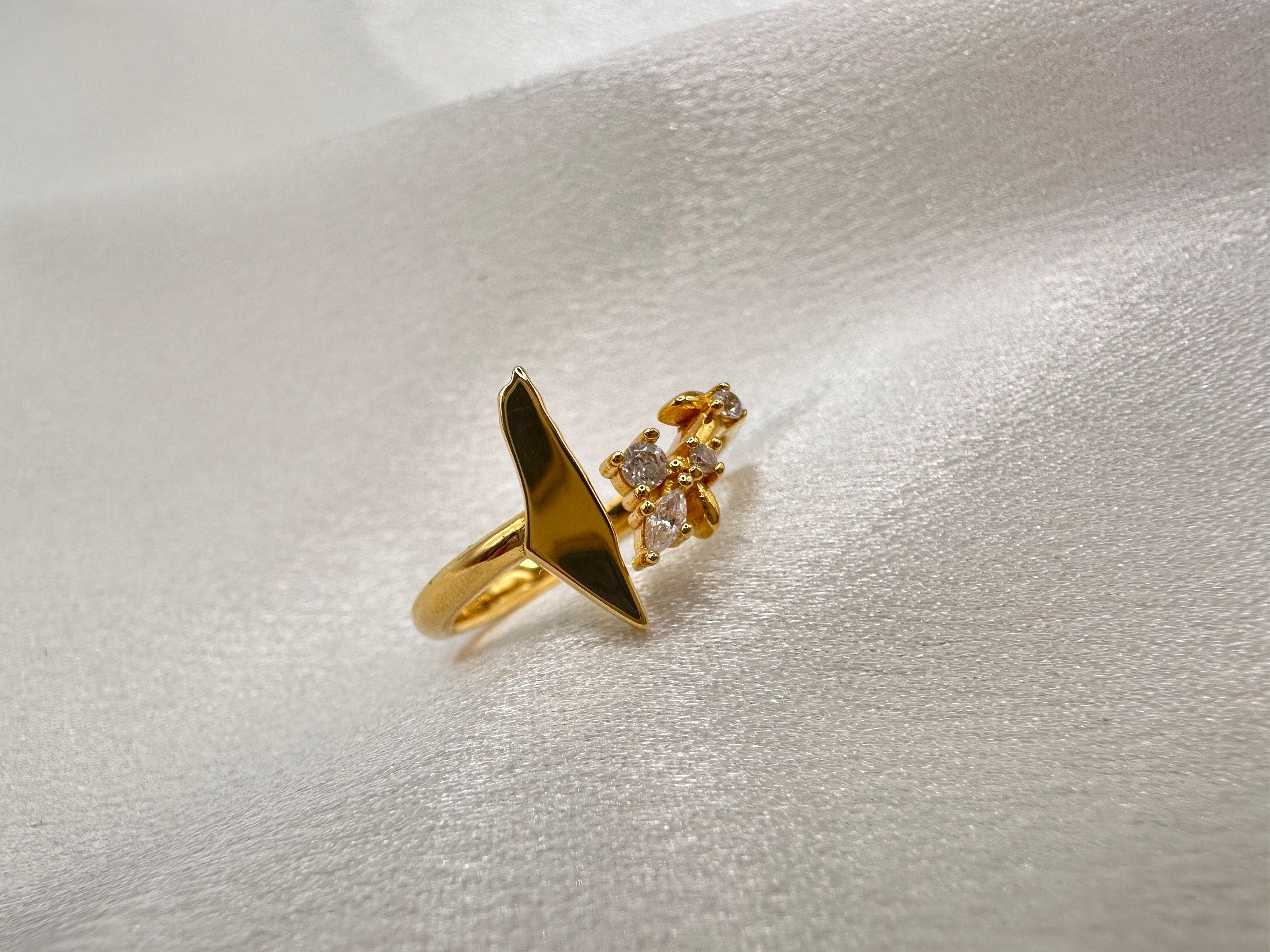 Map of Palestine Ring