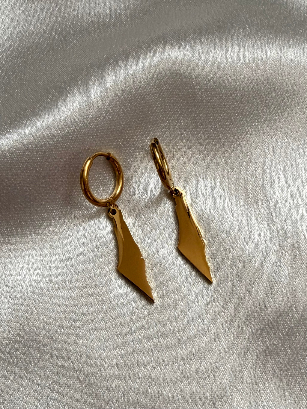 Map of Palestine Earrings