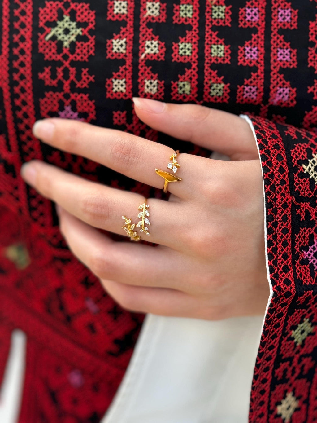 Map of Palestine Ring